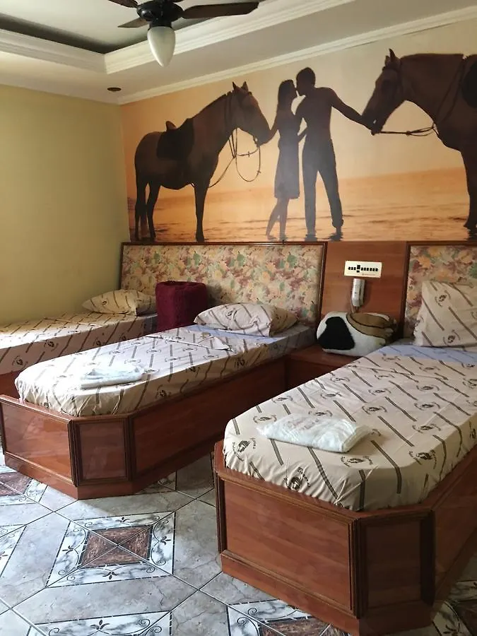 **  Bororos Palace Hotel Sao Paulo Brazil